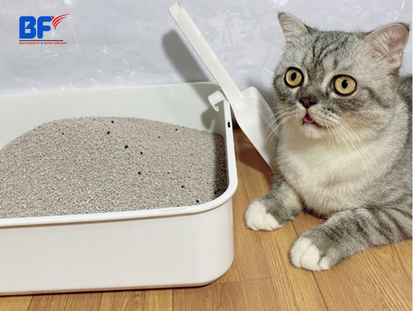 Sản phẩm cát vệ sinh cho mèo
